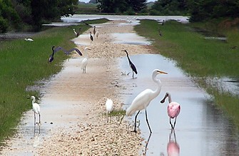 San Bernard national Wildlife Refuge