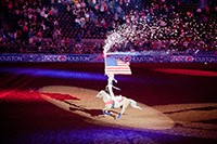 Houston Livestock Show and Rodeo