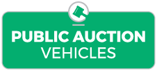 public auction logo